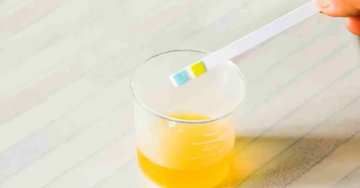 Bà Bầu Nằm Mơ Thấy Người Đã Mất: Giải Mã Số Đề