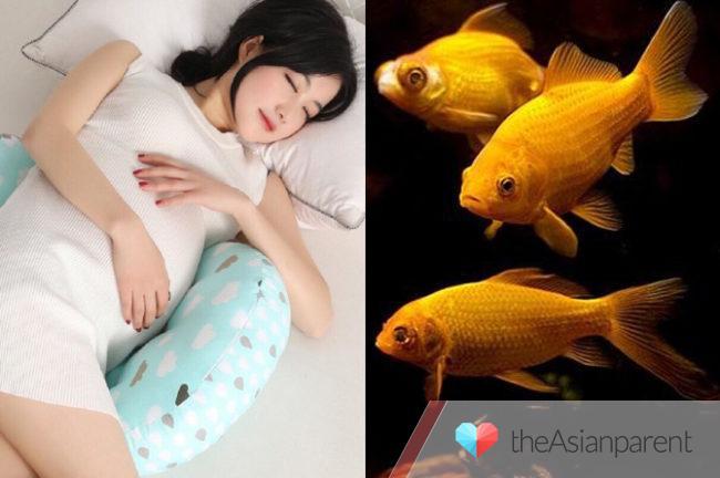 Bà Bầu Nằm Mơ Thấy Em Bé Trai: Giải Mã Số Đề