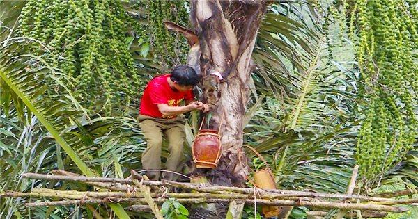 Nằm mơ thấy lươn đánh số gì? Giải mã giấc mơ chuẩn xác