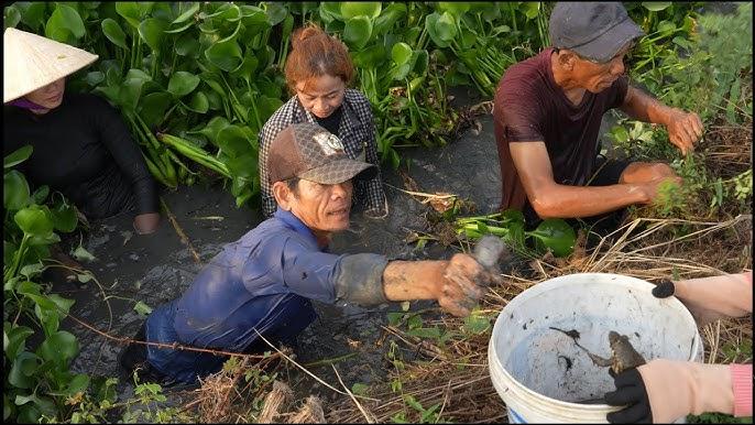 Giải Mã Giấc Mơ Thấy Chuột Trắng Và Con Số May Mắn