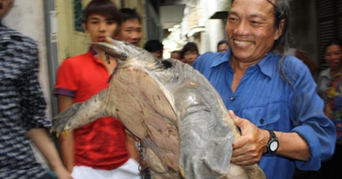 Nằm Mơ Thấy Cha Mẹ Chết Sống Lại: Giải Mã Số Đề