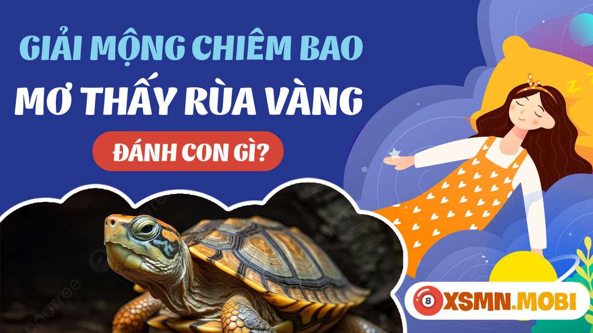 Bắt được rùa vàng trong giấc mơ