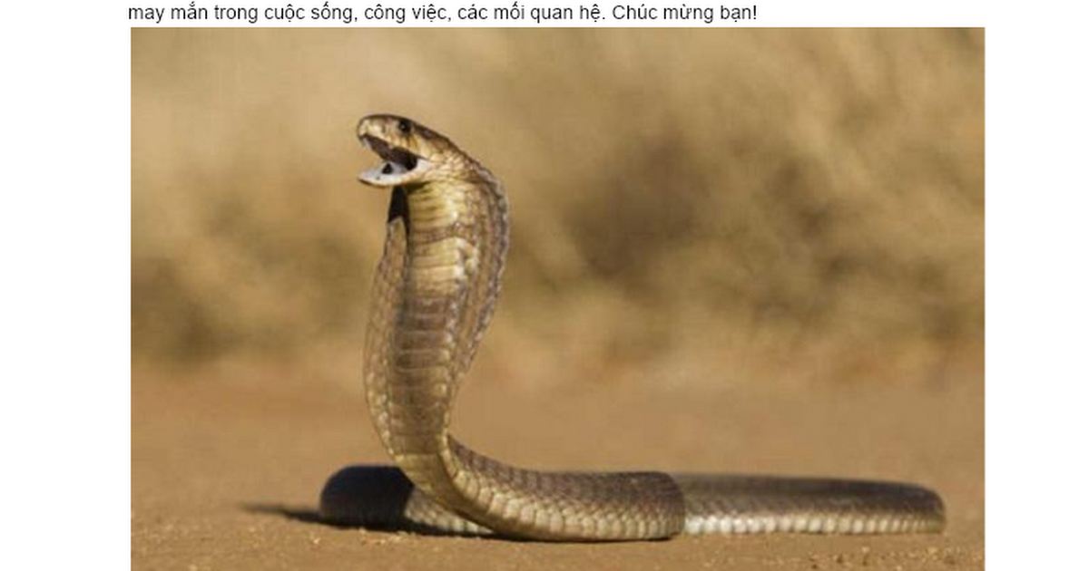 Giải Mã Giấc Mơ Thấy Vàng Và Tiền