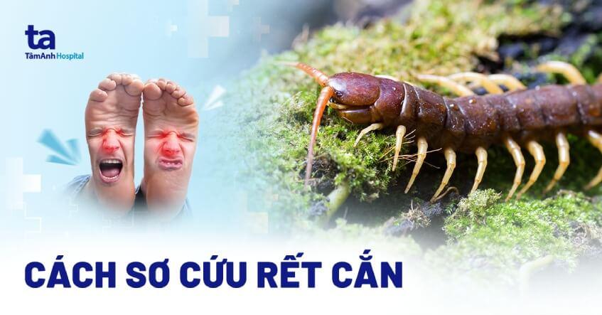 Bị Rết Trắng Cắn