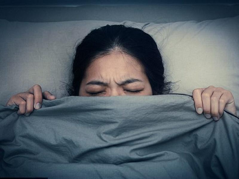 Giải Mã Giấc Mơ Thấy Mèo Trắng Vào Nhà