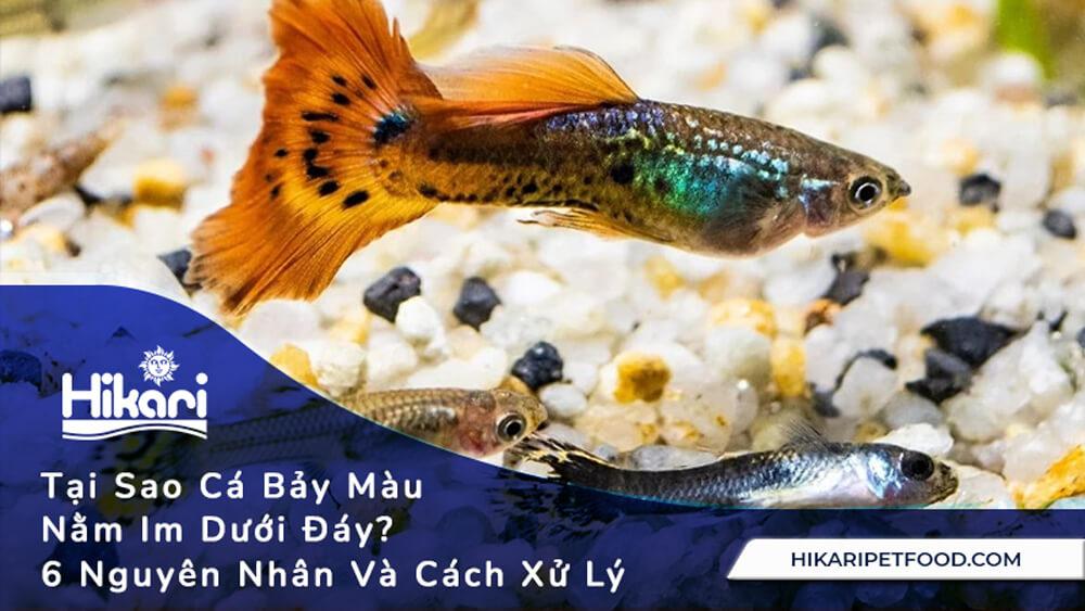 Bà Bầu Nằm Mơ Thấy Bị Ra Máu: Giải Mã Số Đề