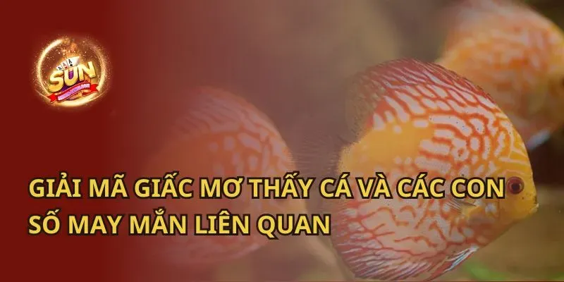 Nằm mơ thấy mẹ sinh em bé đánh con gì?
