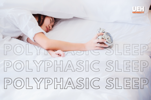 Giải Mã Giấc Mơ Thấy Biển Và Núi: Điềm Báo Số Đề