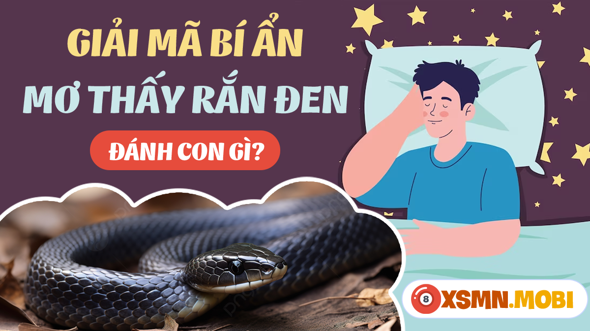 Giải Mã Giấc Mơ Thấy Rùa Đẻ Con và Số Đề Liên Quan