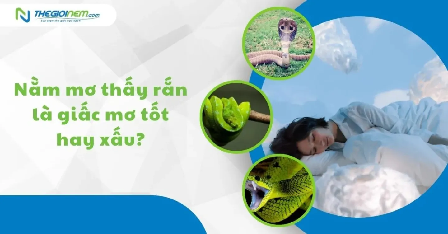 Giải Mã Giấc Mơ Thấy Cầu Thủ Bóng Đá Và Số Đề