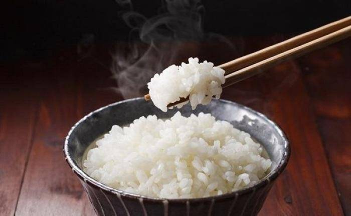 Giải Mã Giấc Mơ Thấy Rùa Đẻ Con và Số Đề Liên Quan