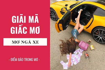 Giải Mã Giấc Mơ Thấy Bắt Tổ Ong