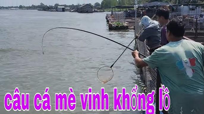 Giải Mã Giấc Mơ Thấy Rắn Trứng Đánh Con Gì?