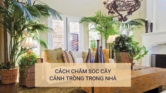 Giải Mã Giấc Mơ Thấy Bạn Học Cũ Thích Mình Và Con Số May Mắn