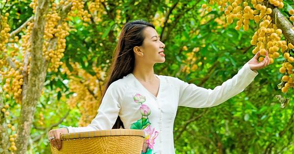 Cây trái xum xuê rừng cây ăn quả