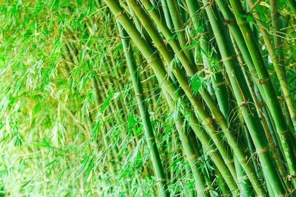 Giải Mã Giấc Mơ Thấy Bạn Học Cũ Thích Mình Và Con Số May Mắn
