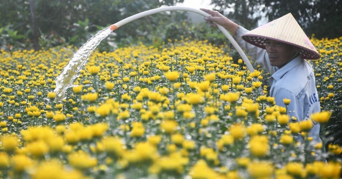 Giải Mã Giấc Mơ Nhặt Được Đồ Và Con Số May Mắn
