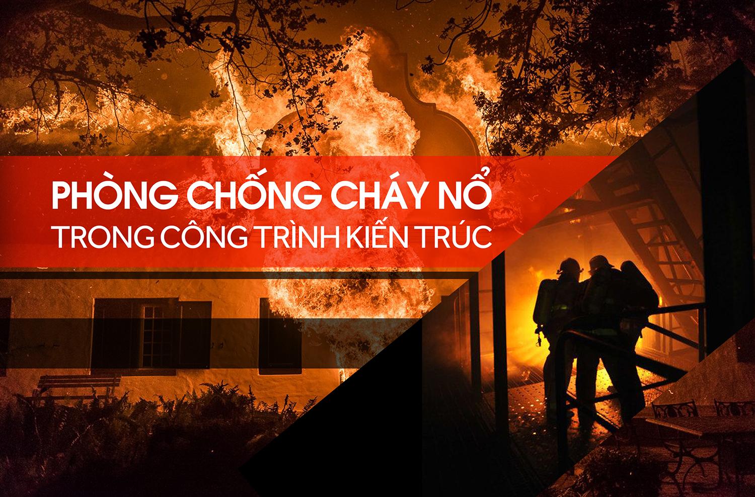 Giải Mã Giấc Mơ Thấy Lợn: Điềm Báo &amp; Con Số May Mắn