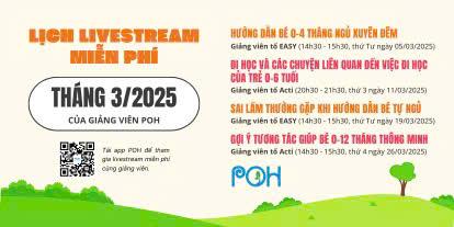 Giải Mã Giấc Mơ Thấy Cá Nhà Táng Và Số Đề Liên Quan