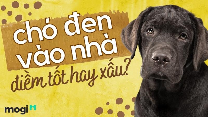 Nằm Mơ Thấy Bắt Ốc Đánh Đề Con Gì?