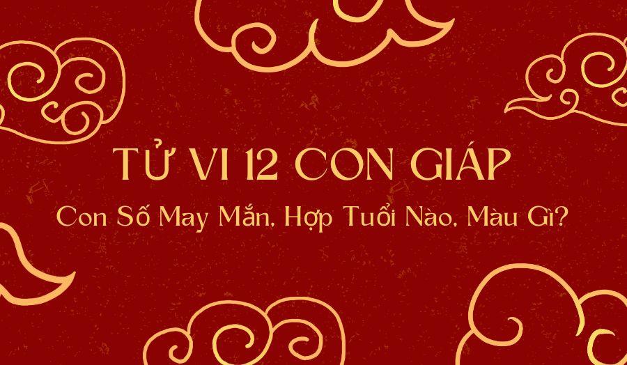 Chó giao phối màu trắng - Tìm hiểu con số may mắn