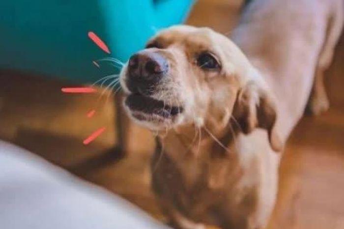 Giải Mã Giấc Mơ Thấy Cuốc Đất Và Con Số May Mắn