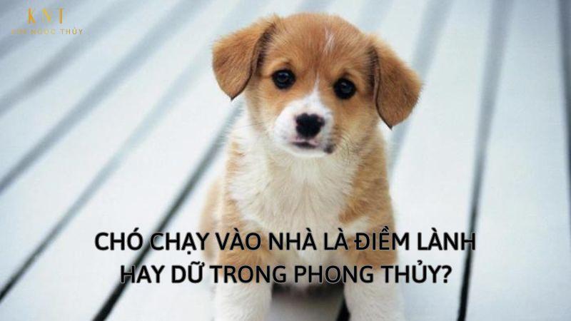 Nằm Mơ Thấy Con Rết Đánh Số Gì? Giải Mã Chi Tiết
