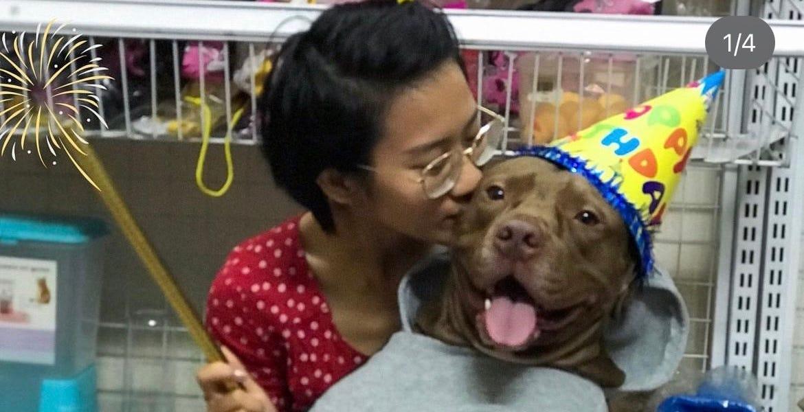 Nằm Mơ Cưới Vợ Đánh Con Gì? Giải Mã Bí Ẩn