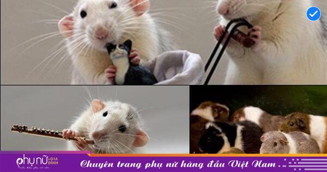 Giải Mã Giấc Mơ Thấy Ẵm Bé Trai