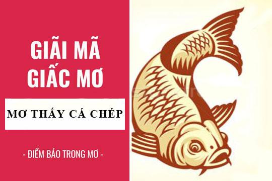 Bà bầu nằm mơ thấy cá chép vàng