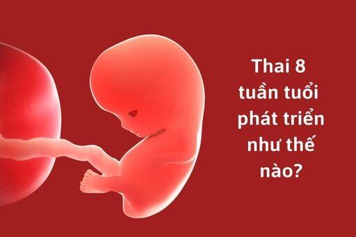 Nằm Mơ Thấy Bể Nước Đánh Con Gì? Giải Mã Chi Tiết