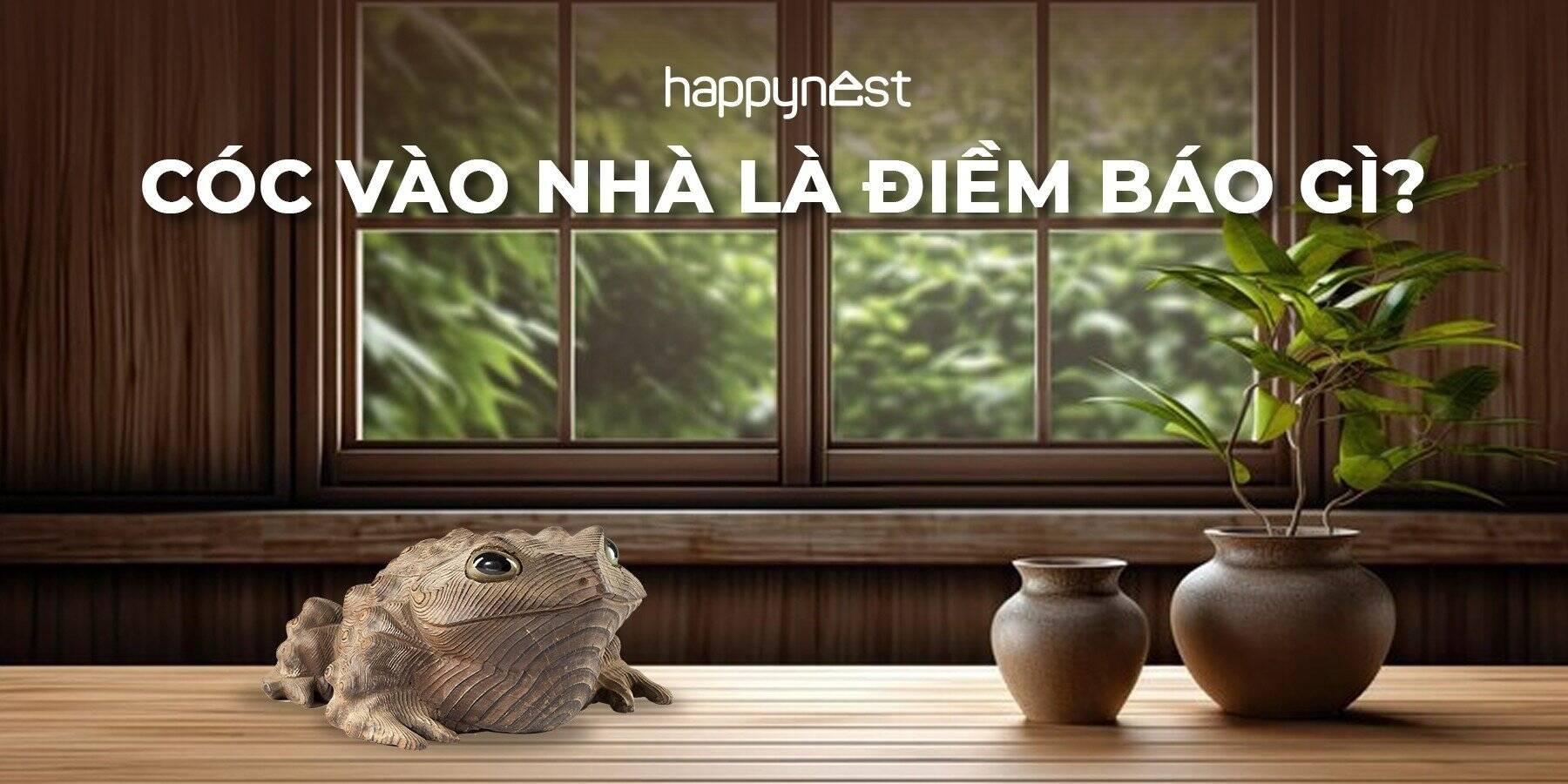 Giải Mã Giấc Mơ Thấy Rắn Đen Đuổi