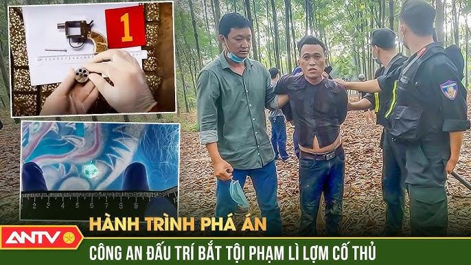 Nằm mơ thấy bò đẻ là điềm gì? Giải mã chi tiết