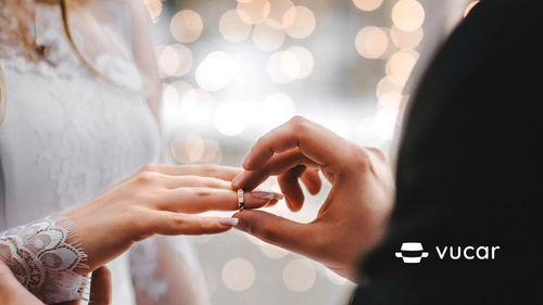 Giải Mã Giấc Mơ Thấy Rùa Thần Và Số Đề Liên Quan