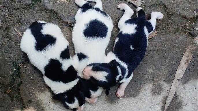 Giải Mã Giấc Mơ Thấy Đi Mua Đồ Trang Điểm