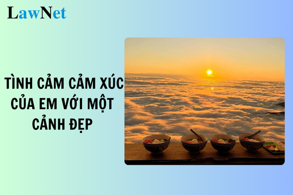 Giải Mã Giấc Mơ Thấy Bắn Máy Bay Và Những Con Số Liên Quan