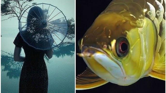 Giải Mã Giấc Mơ Liên Tục Nằm Mơ Thấy Rắn