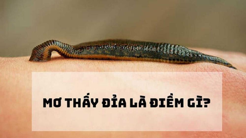 Giải Mã Giấc Mơ Thấy Nước Dơ Và Con Số May Mắn