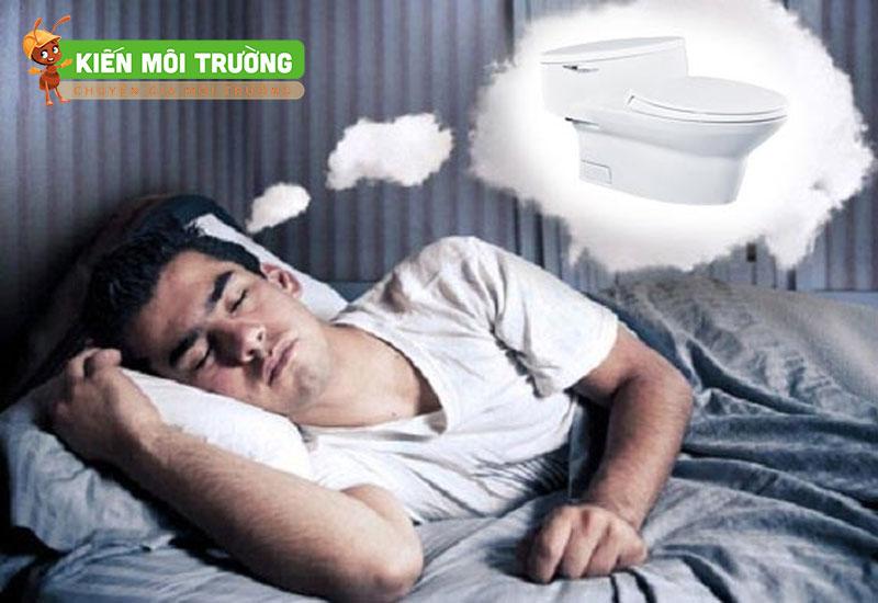Nằm Mơ Thấy Chó Quan Hệ: Giải Mã Số Đề Chính Xác