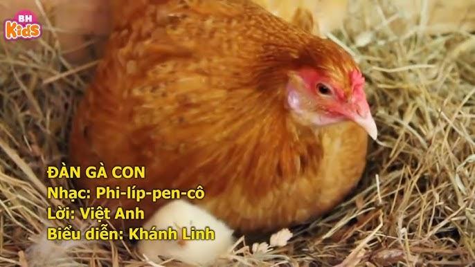 Nằm Mơ Thấy Tổ Ong Đánh Số May