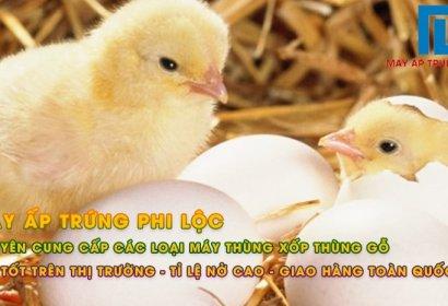 Giải Mã Giấc Mơ Thấy Em: Điềm Báo & Con Số May Mắn