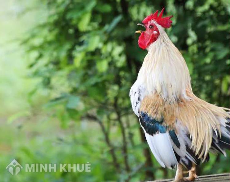 Nằm Mơ Mất Tiền Đánh Con Gì? Giải Mã Bí Ẩn