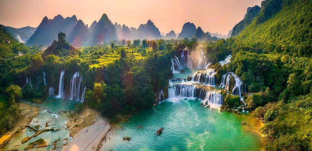 Nằm mơ thấy bò đẻ là điềm gì? Giải mã chi tiết
