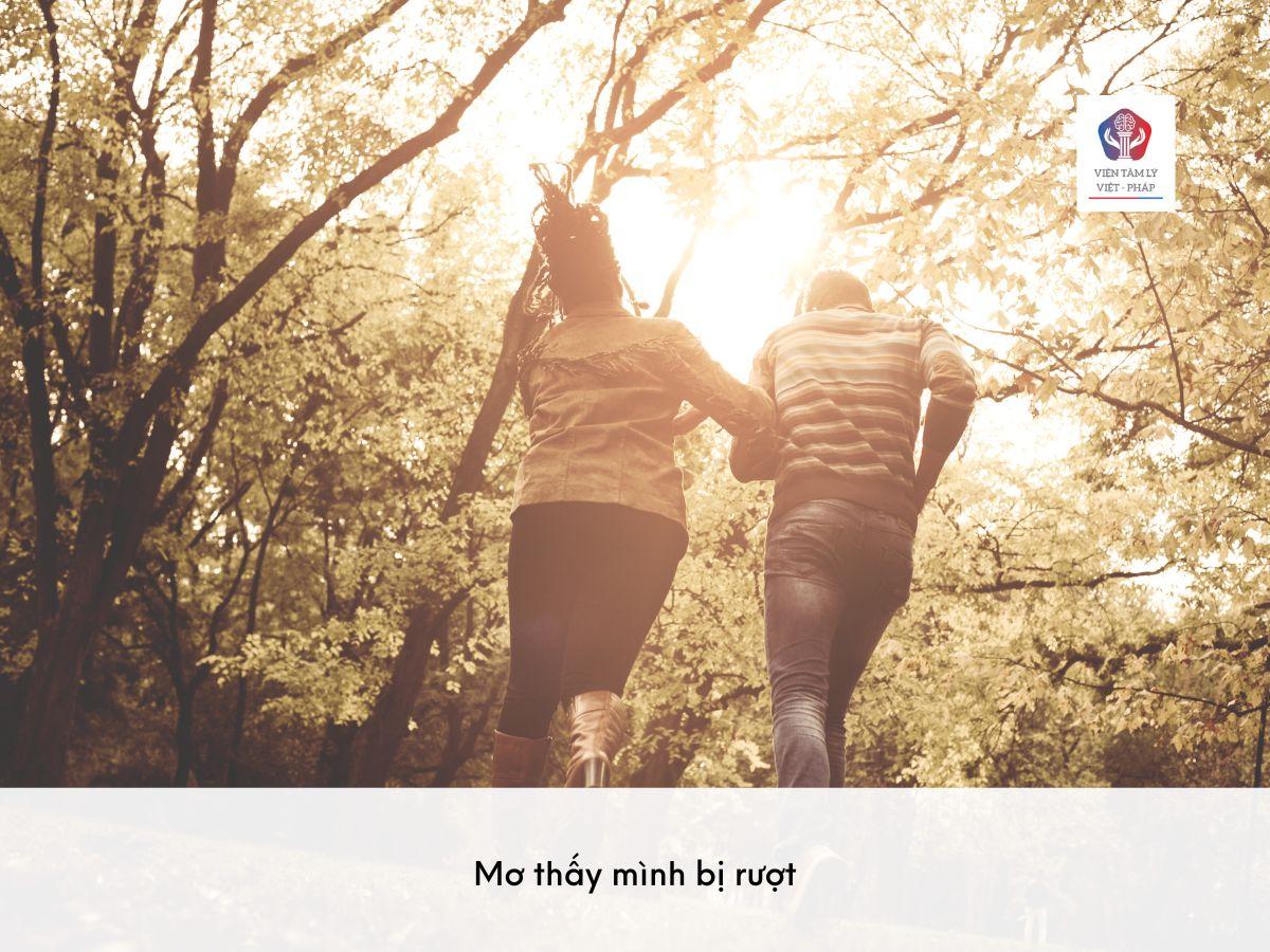 Nằm mơ là hiện tượng gì? Giải mã giấc mơ và số đề