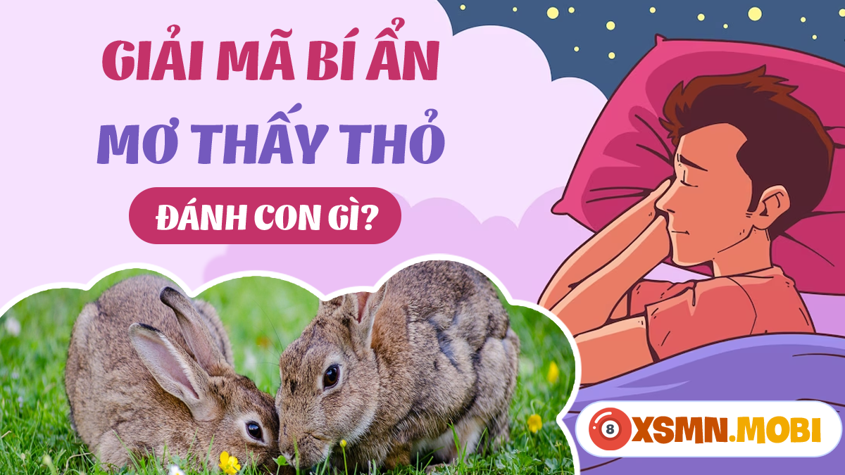 Giải mã giấc mơ thấy 3 con thỏ và ý nghĩa số đề