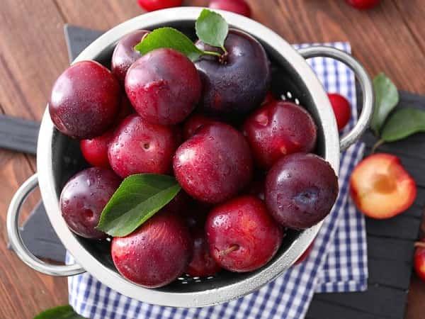 Nằm Mơ Thấy Mình Trúng 6 Cấp Số Độc Đắc: Điềm Báo Gì?