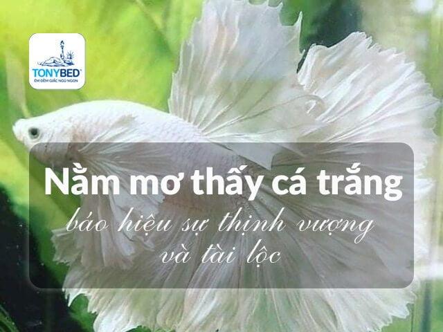 Giải Mã Giấc Mơ Thấy Chuyển Bàn Thờ