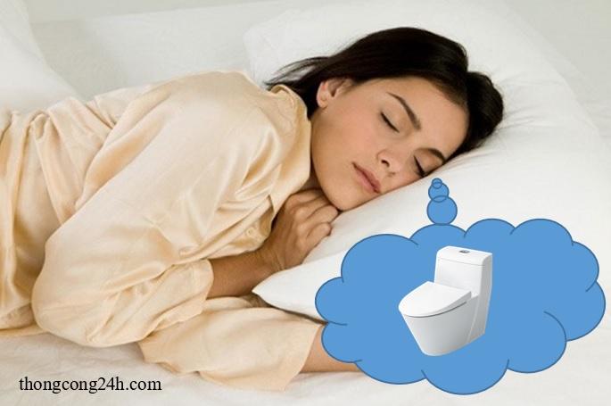 Giải mã giấc mơ bồn cầu