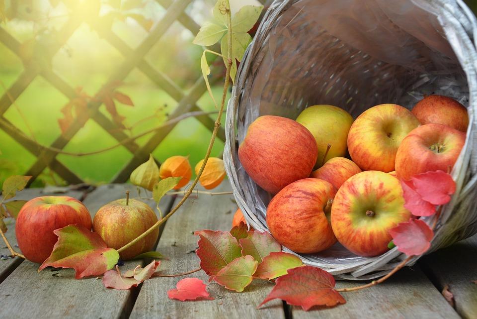 Nằm Mơ Thấy Em Dâu Đánh Con Gì? Giải Mã Bí Ẩn
