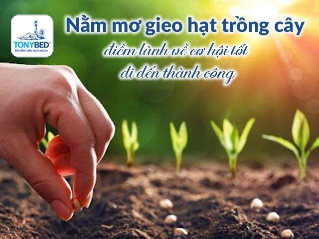 Giải Mã Giấc Mơ Thấy Chó Cắn Con Rắn